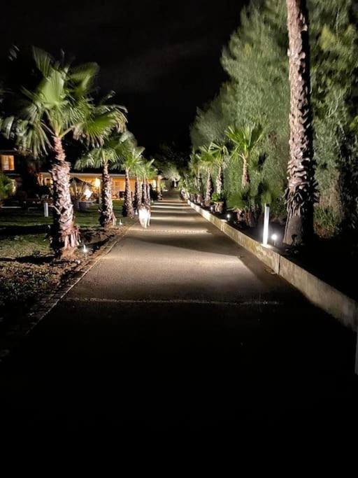 Grande Villa St-Tropez Area Avec Piscine Chauffee Gassin Exteriör bild